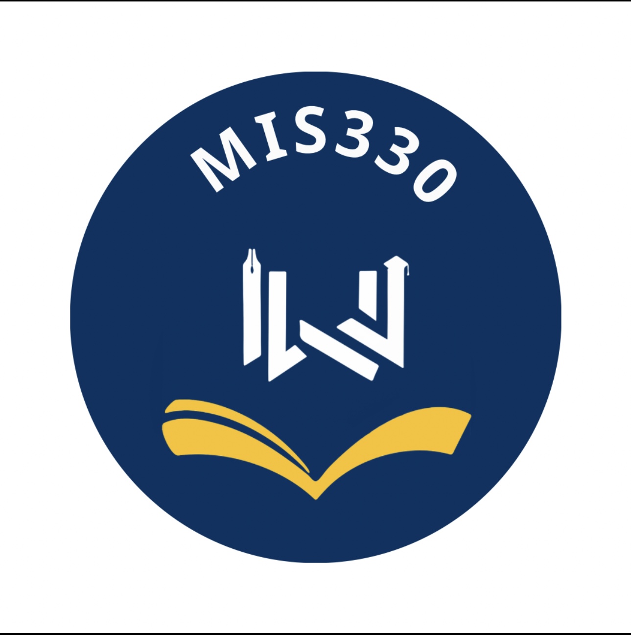 Mis330
