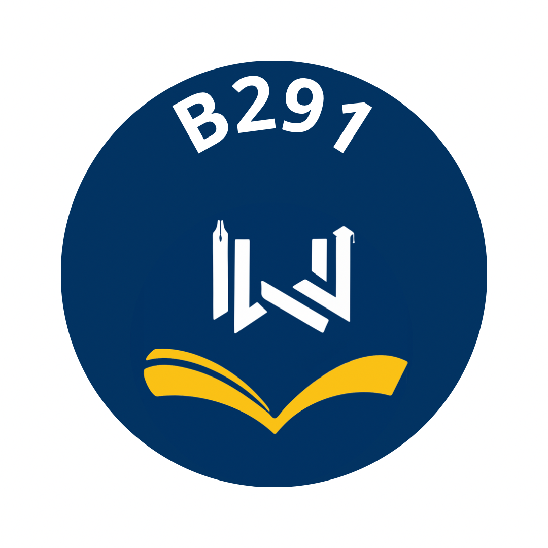 B291